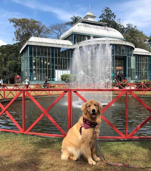 Pousada Dom PetrÃ³polis