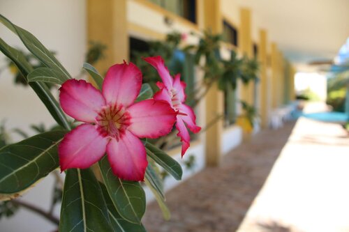 Grandes Lagos Park Hotel