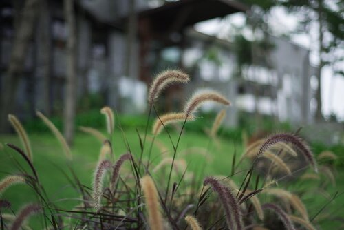 Rincon del Duende Resort & Spa de Mar