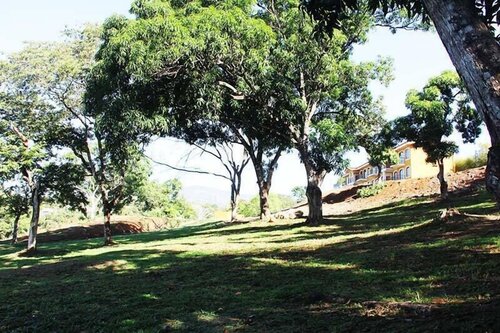 La Jacaranda Luxury Condos