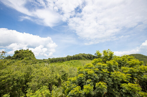 SAMSAM Yao Noi - Tropical Magic & Art Villas