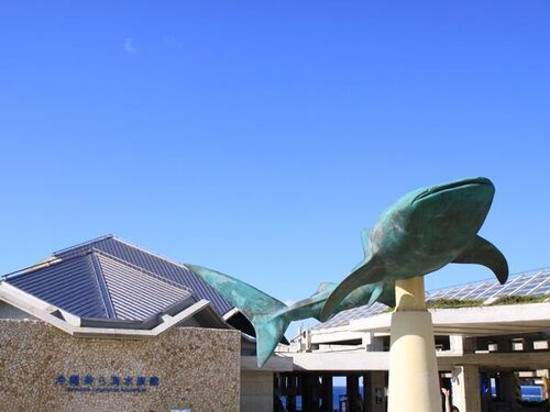 Little Island Okinawa Nago