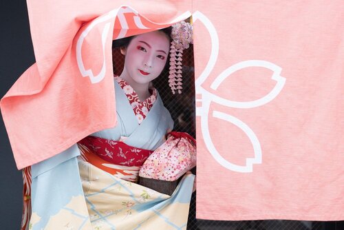 Stay  SAKURA Kyoto Matsuri