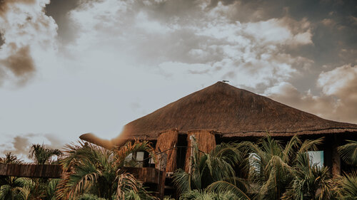 The Radhoo Adults Only