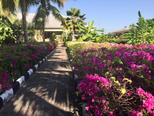 Oceanic Bay Hotel and Resort