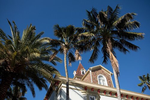 Casa Das Palmeiras Charming House Azores