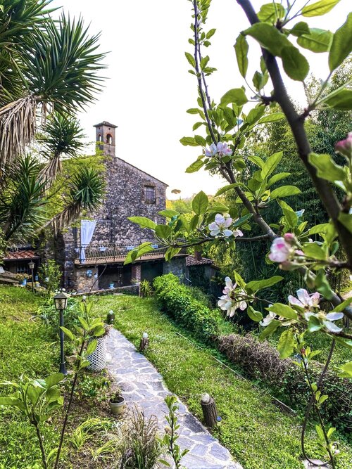 Antico Frantoio Pietrasanta B&B