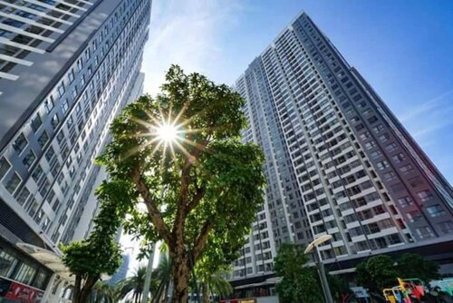 Luna's Splendid Home