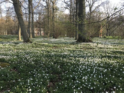 Best Western Valhall Park Hotell