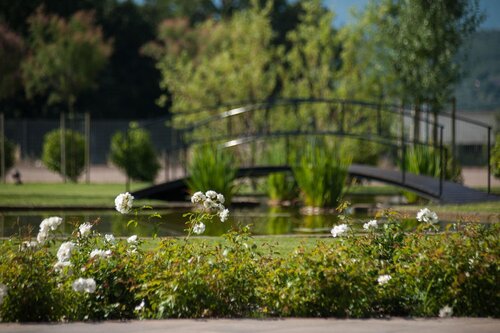 Astrea Wellness & Spa