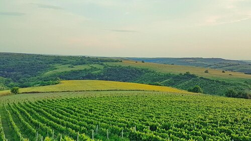 Seven Generations Winery Hotel & SPA