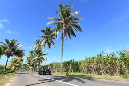 Kaz'alala Hosted B&B