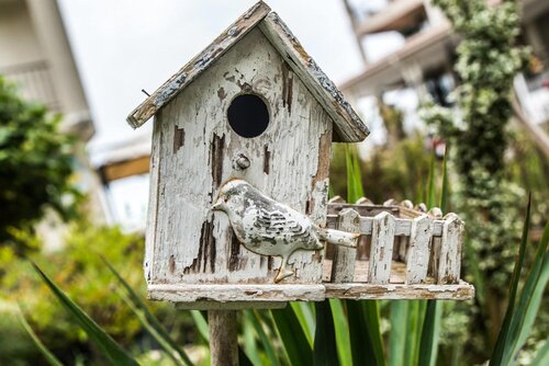 Primea Beach Residence