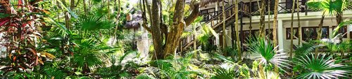 Hotel Dos Ceibas Eco Retreat Tulum