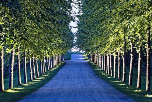 Weissenhaus Grand Village Resort & SPA