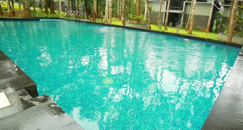 The Mountain Courtyard Thekady