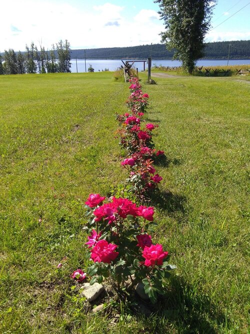 Cariboo Log Guest House