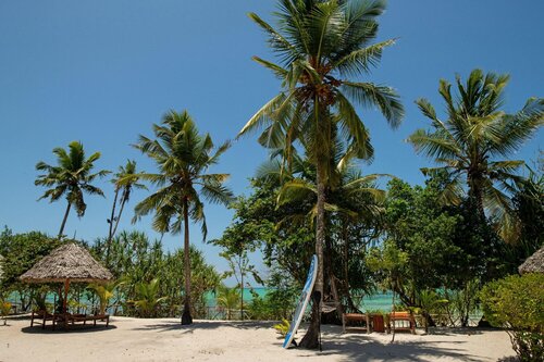 Tikitam Palms Boutique Hotel