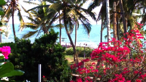 Sri Beach Bungalows And Villa