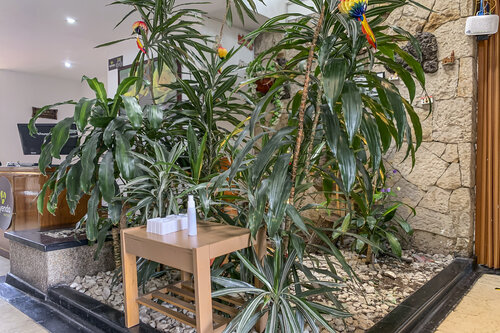 Ayenda 1080 Bogota Alpes Castellana