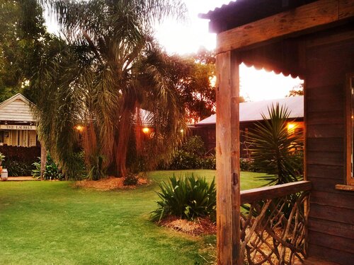 The Laurels Of Chinchilla