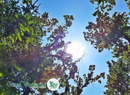 Hotel Cornul Vanatorului