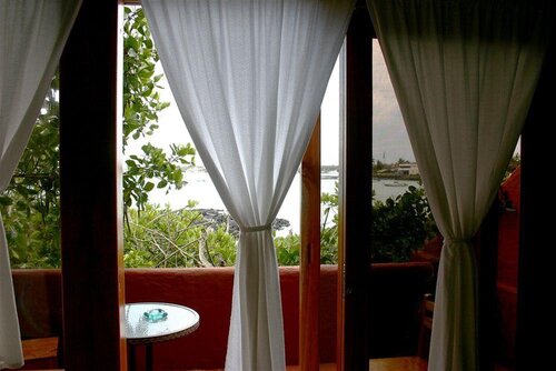 Red Mangrove Aventura Lodge