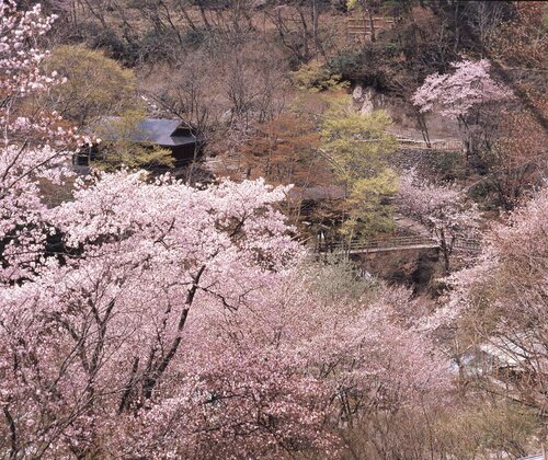 Takaragawa Onsen Osenkaku