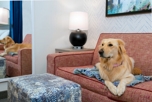 Home2 Suites by Hilton Buffalo Airport/Galleria Ma