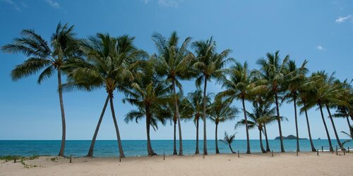 Ellis Beach Oceanfront Bungalows