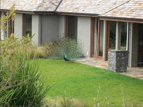 Treetops Lodge & Estate