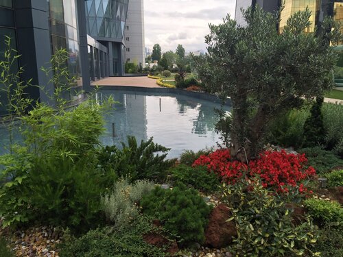 Tango Arjaan by Rotana