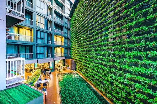 Cross Vibe Chiang Mai Decem