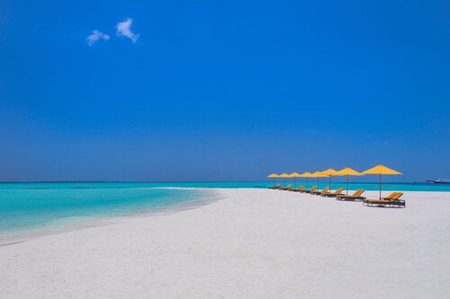 Dhigufaru Island Resort