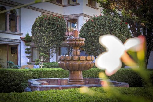 Best Western del Angel