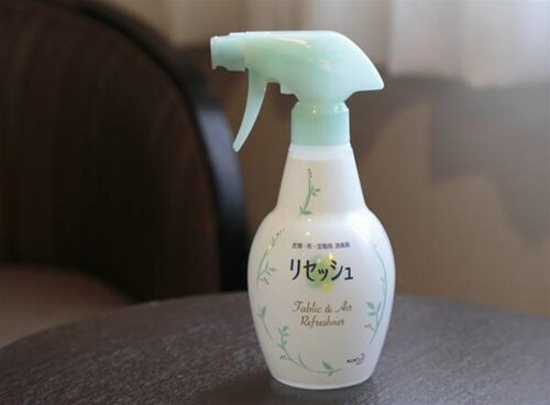 Nishitetsu Inn Kochi Harimayabashi