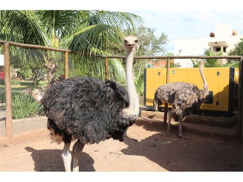 Carpe Diem Park Hotel