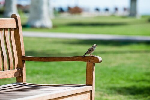 Sealine Beach. A Murwab Resort