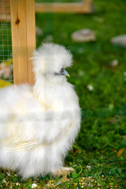 Kyriad Lannion Perros-Guirec