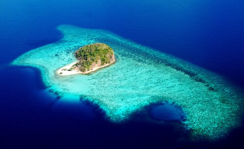 The Funny Lion Coron