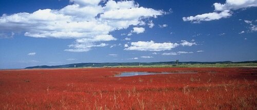 Sangosounosato Notorinoso Kagariya