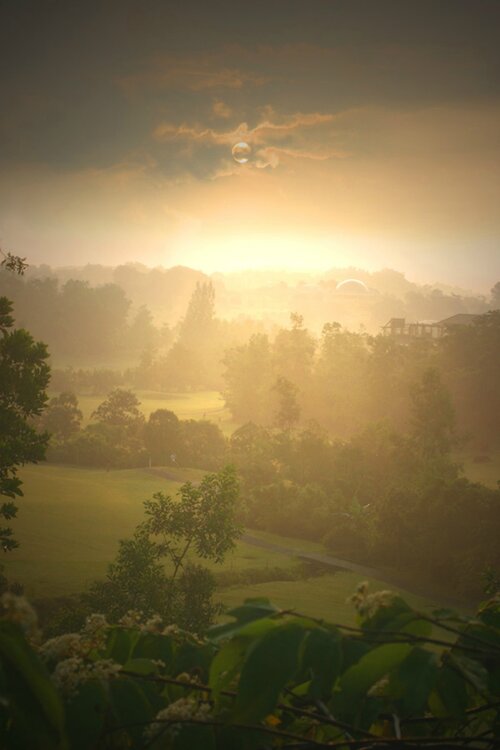 Meru Suites At Meru Valley Resort