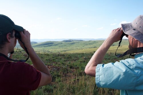 Cradle Boutique Hotel