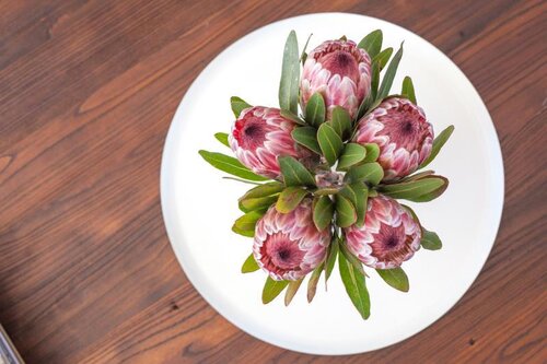 Bliss Boutique Hotel