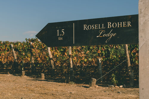 Rosell Boher Winery Lodge & Spa