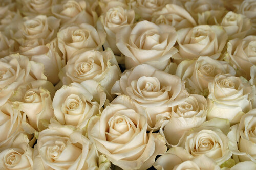 Casa Don Sancho By Mustique