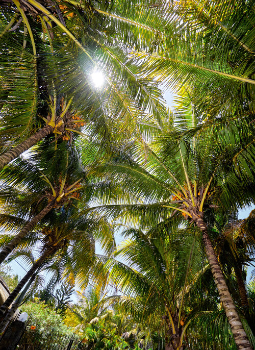 Corail Bleu Private Pool & Garden Villas By LOV