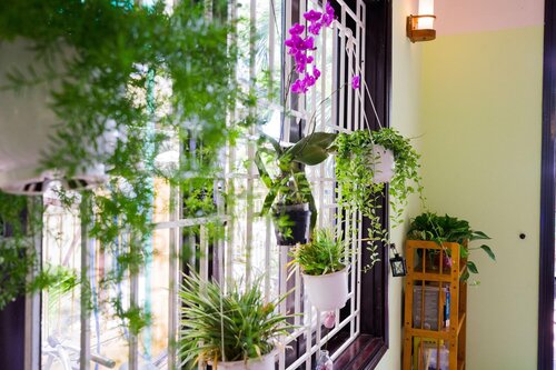 NATURE HOMESTAY HOI AN