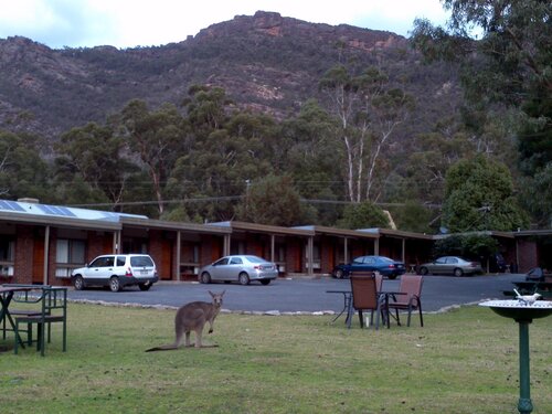 Halls Gap Motel