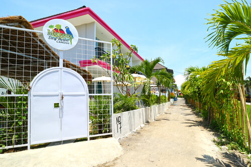 Margarita Hostel